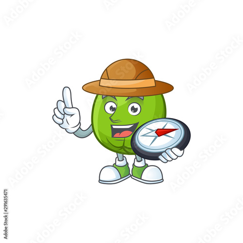 Explorer casimiroa fruit cartoon character with mascot photo