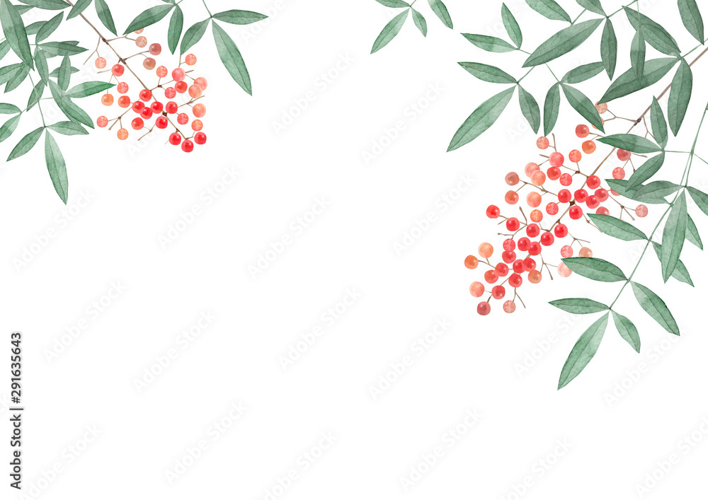 南天の実 背景 水彩 イラスト Stock Illustration Adobe Stock 南天の実 背景 水彩 イラスト Stock Illustration Adobe Stock