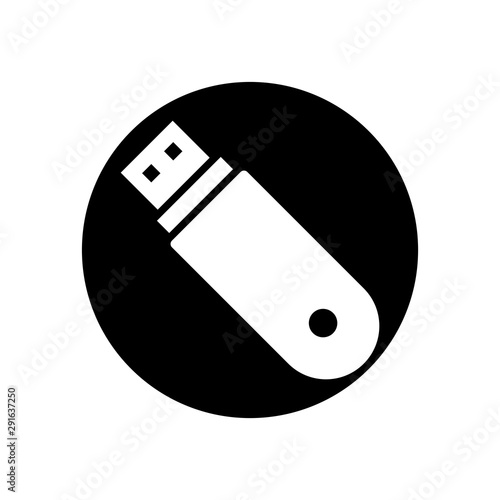 Usb Flash drive icon vector design template