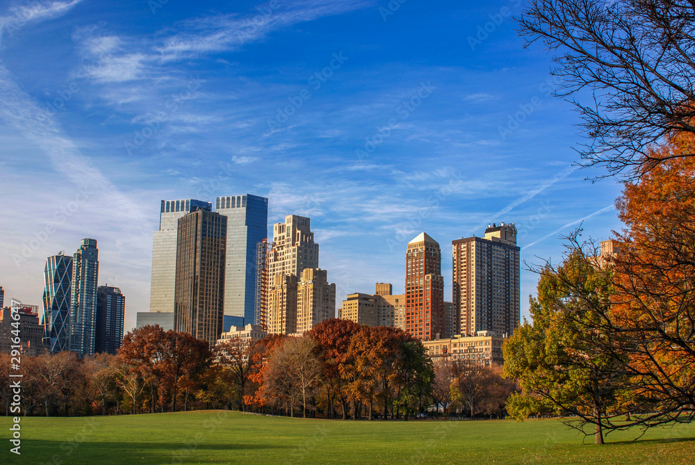 Sheep meadow, Central Park in New York City