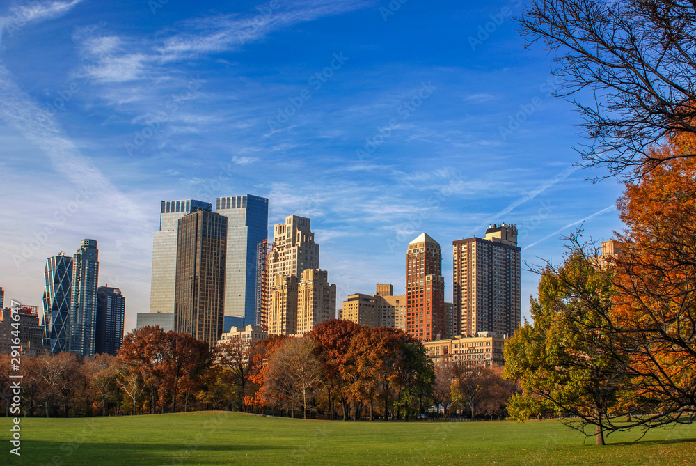 Fototapeta premium Sheep meadow, Central Park in New York City