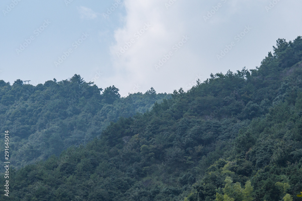 mountain range covered with dense forest under cloudy sky on a hazy day