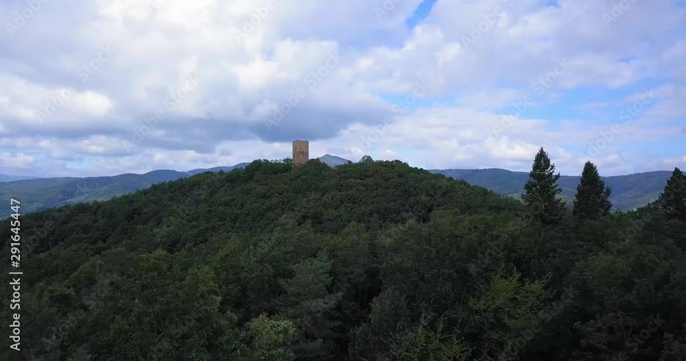 Soaring Over Trees Towards Plixbourg Castle (Chateau du Pflixbourg) and Munster Valley in Alsace-Lorraine, France Soaring Over Trees Towards Plixbourg Castle (Chateau du Pflixbourg) and Munster Valley in Alsace-Lorraine, France