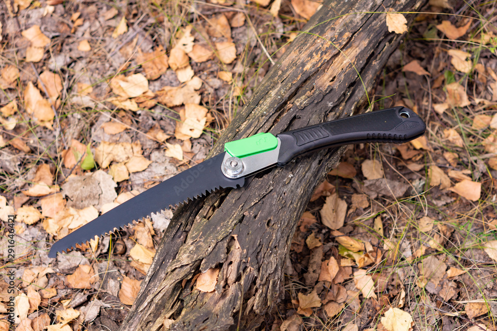 Obraz premium Folding portable handsaw