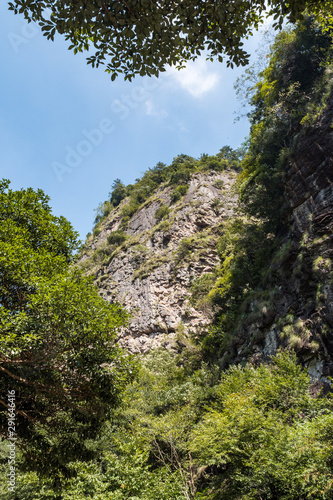 hill top covered by green foliage and rock face filled with grasses under blue sky on a sunny day view behind forest