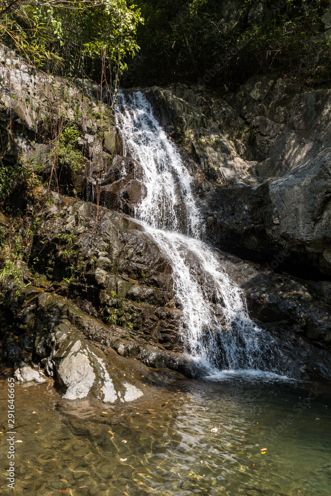 Fototapeta premium small waterfall in the park flower down the rock face of cascading creek with green foliage near the edge