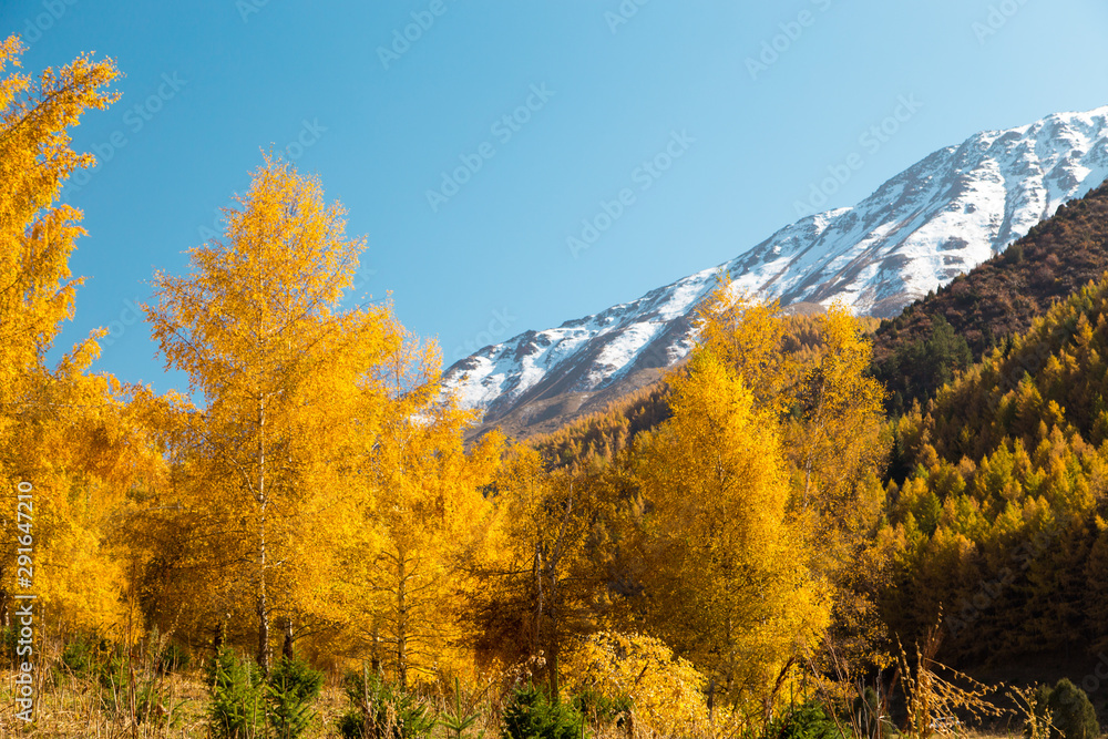 Autumn landscape. Yellow and green trees. Mountains and bright blue sky. Autumn landscape. Yellow and green trees. Mountains and bright blue sky.
