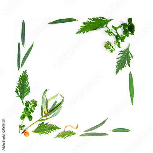 Tea Herbs Still life Flatlay on White Background