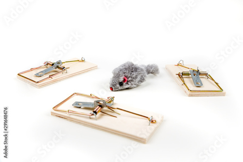 Grey toy mouse prowling around multiple wood mouse traps photo