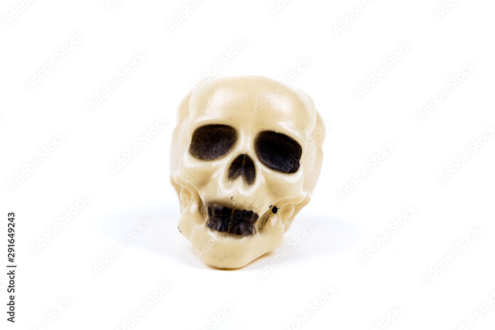 Bone white plastic skull figures on a blank background Bone white plastic skull figures on a blank background