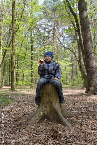 boy in glasses in the forest,the boy was sitting in the middle of the woods on a stump with an apple in his hand