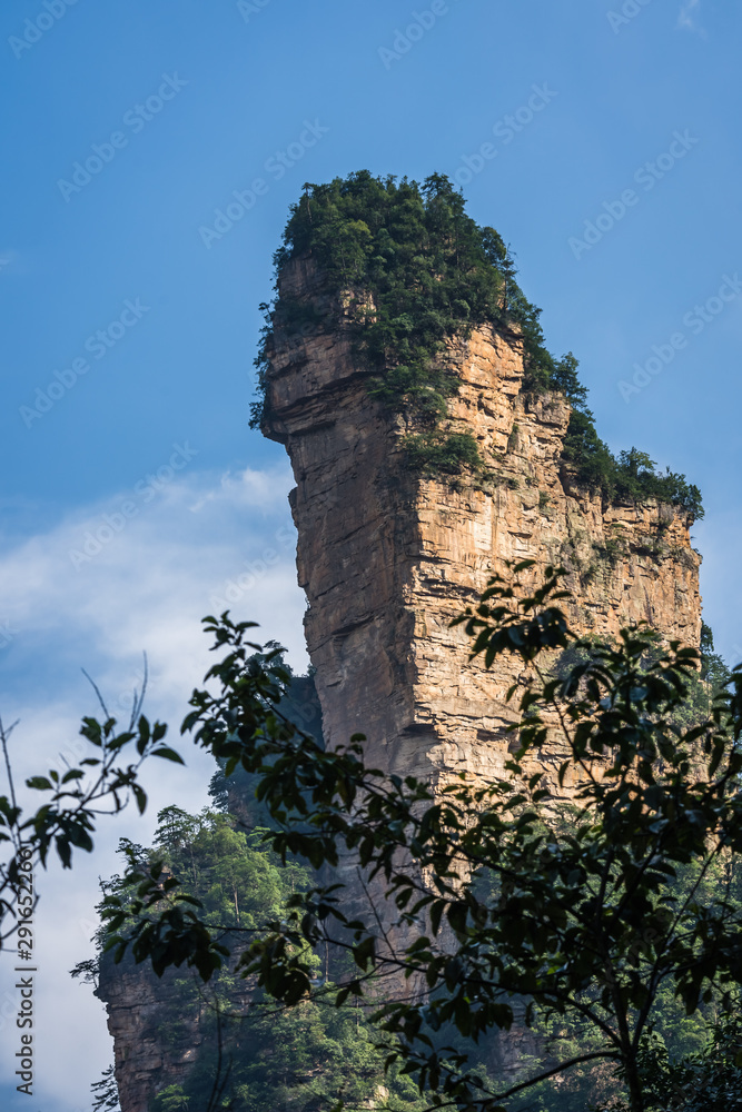 Fototapeta premium Stone pillar in Zhangjiajie Tianzi mountains