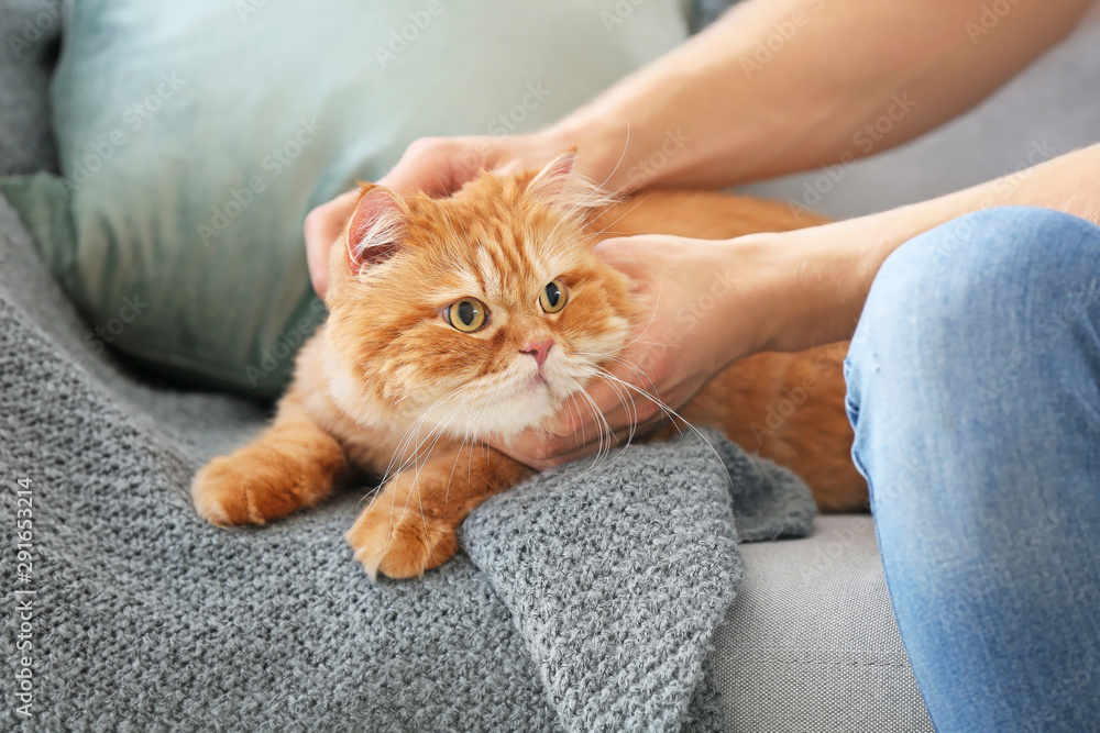 Young man with cute cat at home Young man with cute cat at home