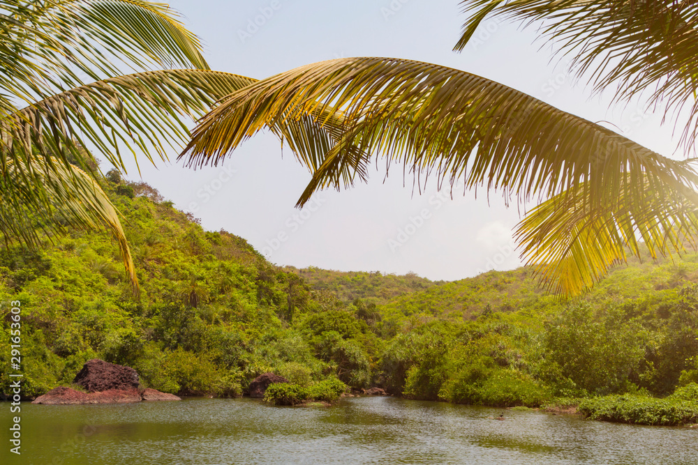Obraz premium Picturesque green corner of the nature, leaves of a palm tree hang down over the lake surrounded with the green jungle. Summer travel template.
