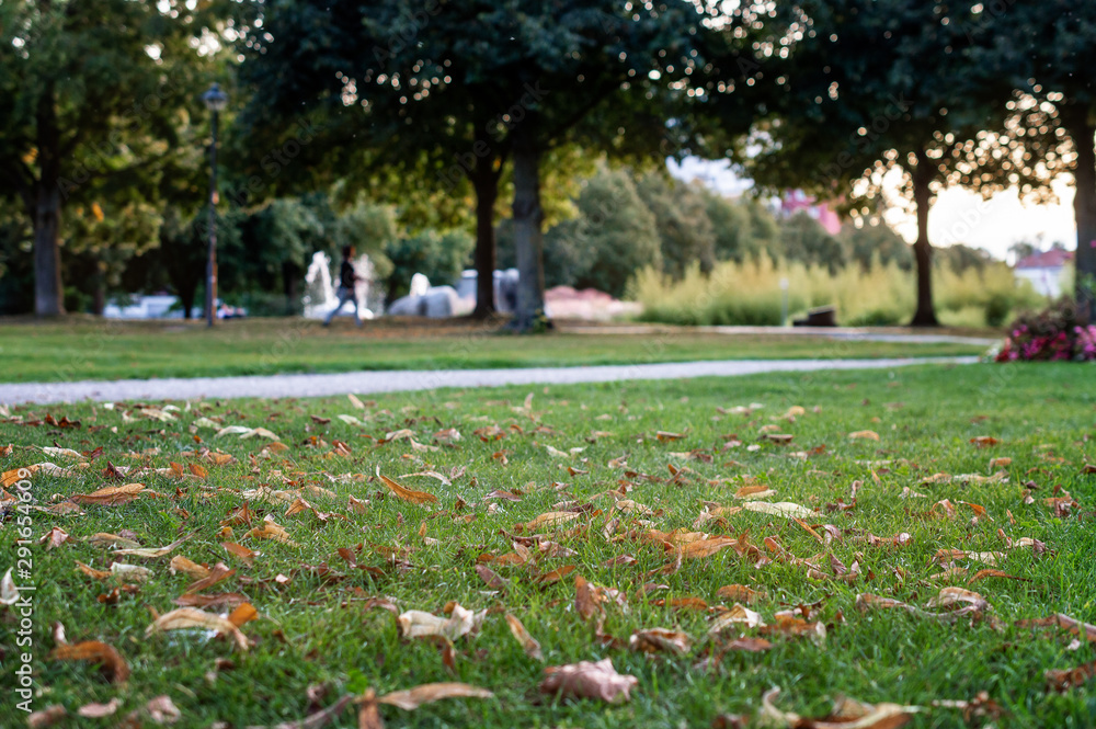 Obraz premium herbst in der stadt