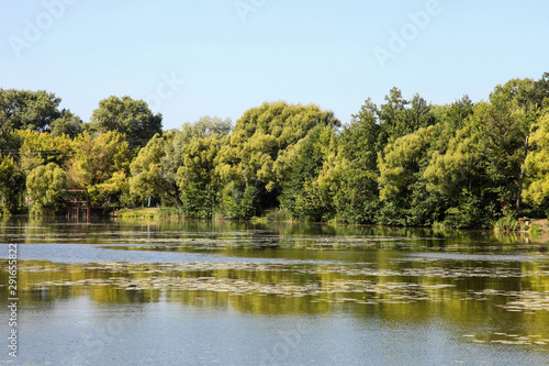 Beautiful river near forest.