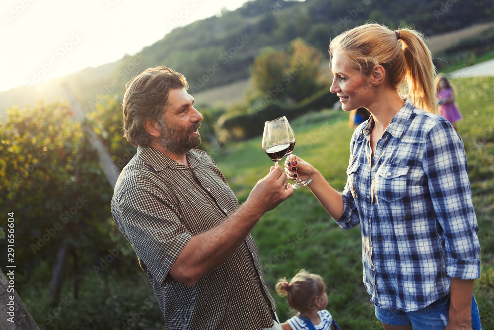Fototapeta premium Picture of people tasting red wine in vineyard