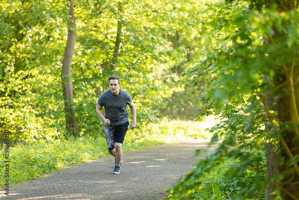 young man runs in a forest and makes fitness young man runs in a forest and makes fitness