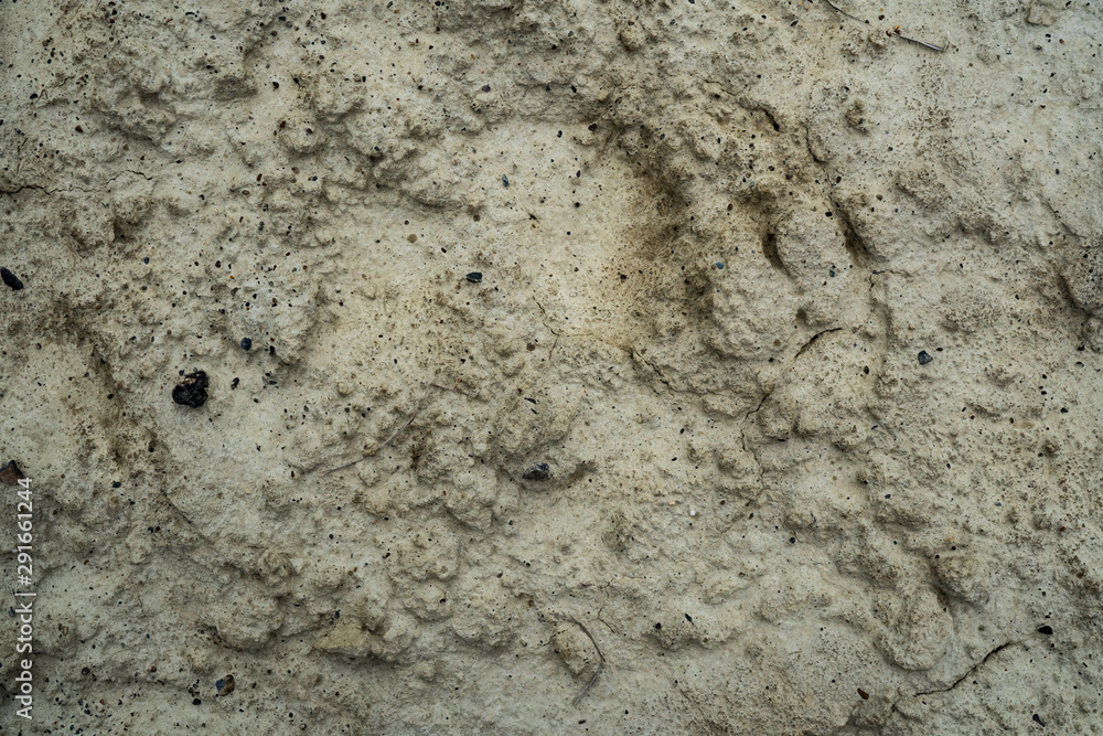 Texture of dried cracked clay. Macro background image of dried clay Texture of dried cracked clay. Macro background image of dried clay