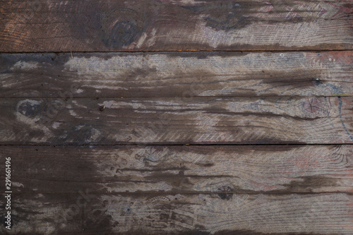 Wet wood texture. Macro background image of a wet dark wood