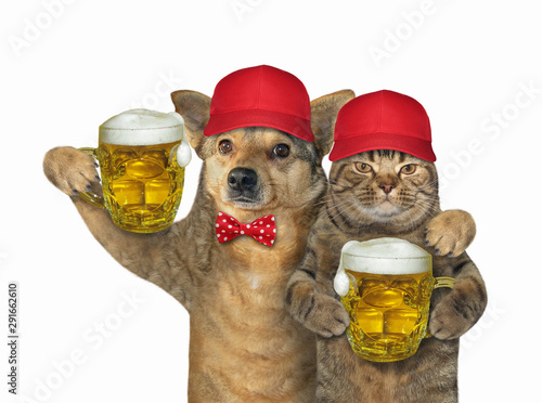 Foto The cat and the dog in red caps is drinking beer together