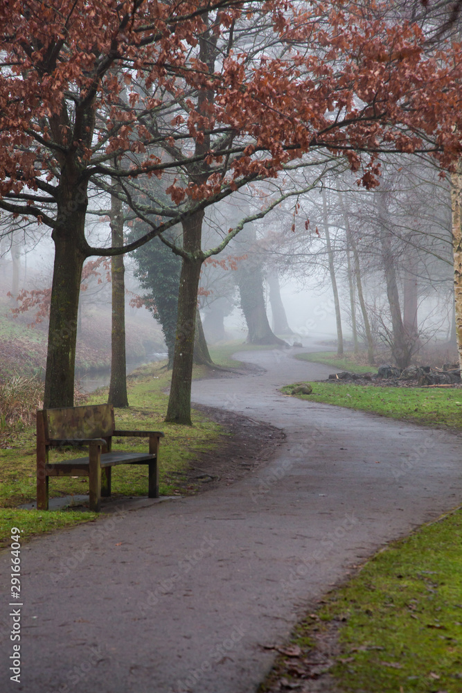 Naklejka premium mystical foggy autumn park in october