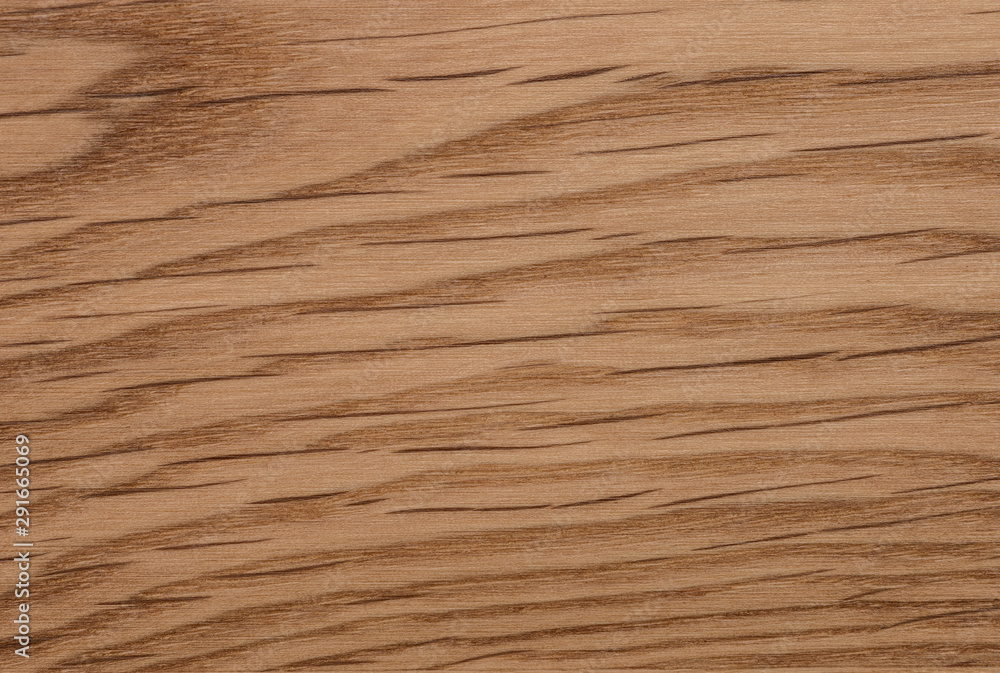 Obraz premium background of Ash wood on furniture surface
