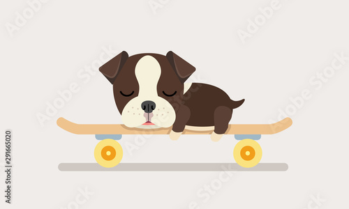 french bulldog puppy sleeping on skateboard