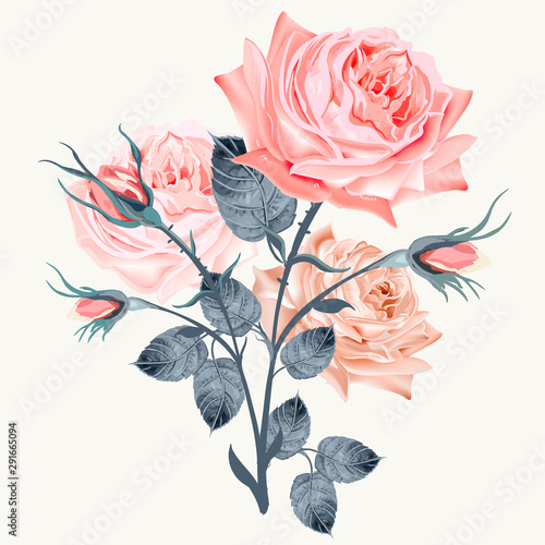 Elegant and beautiful vector pink rose isolated on white in vintage high deta...