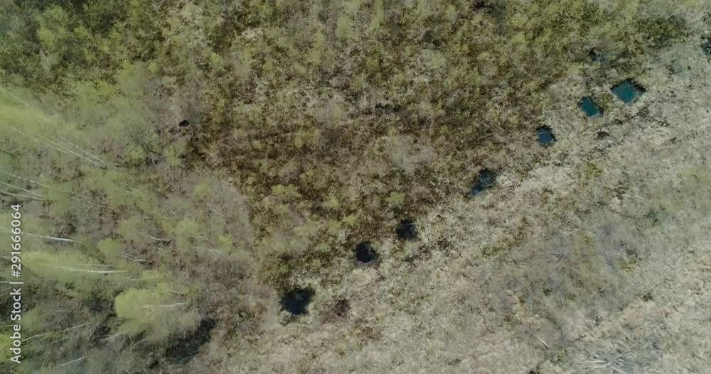 Aerial view drone flies by the highway and goes into the forest Aerial view drone flies by the highway and goes into the forest