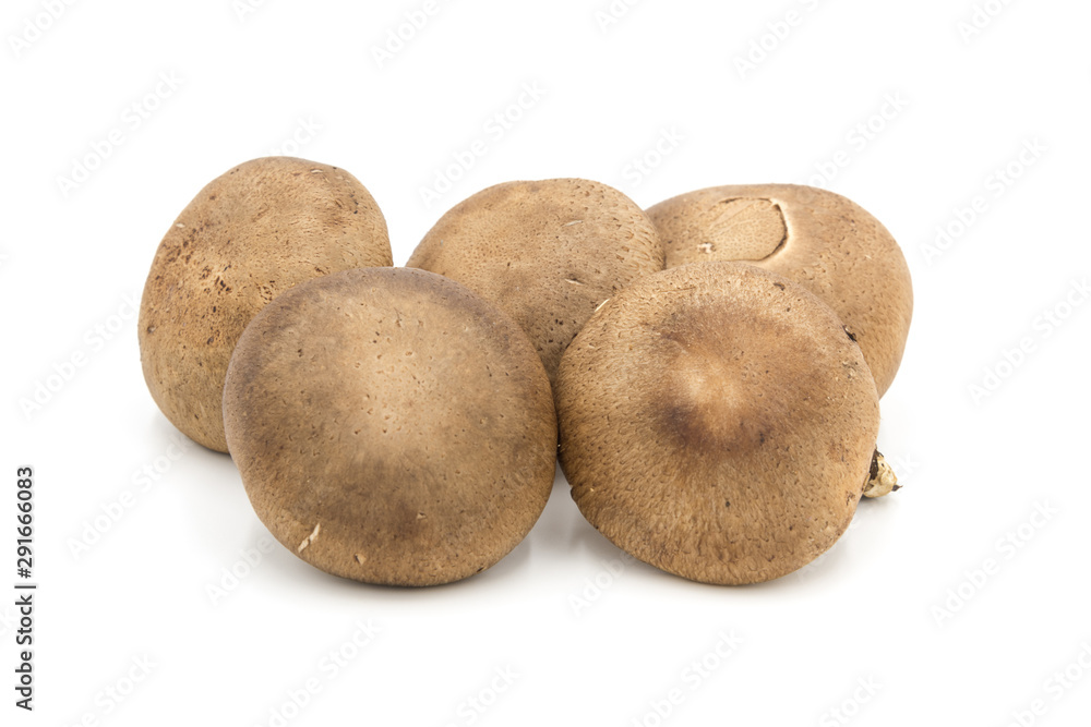 A pile of fresh mushrooms edible mushrooms from Japan isolated on white background A pile of fresh mushrooms edible mushrooms from Japan isolated on white background