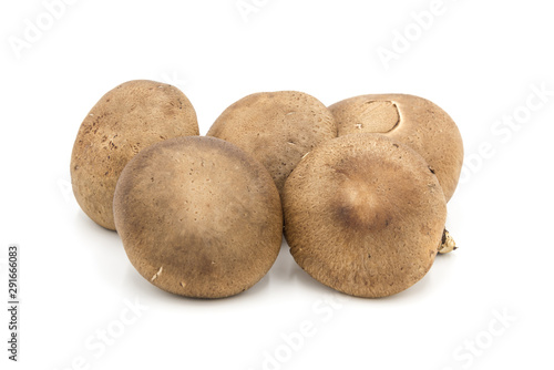 A pile of fresh mushrooms edible mushrooms from Japan isolated on white background