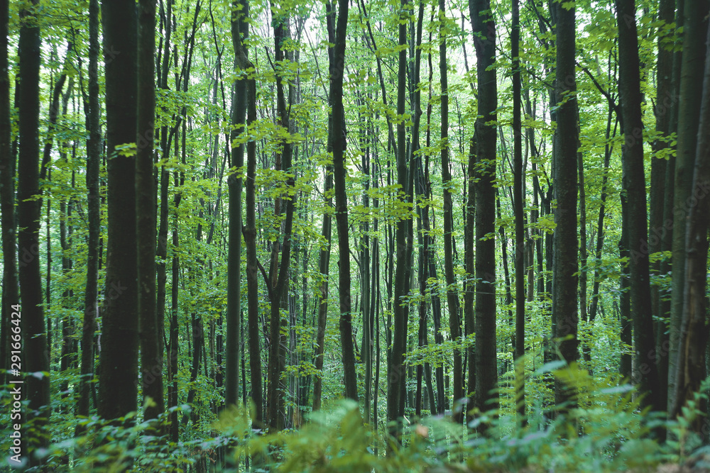 picture taken on a telephoto lens picture taken on a telephoto lens