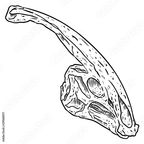 Parasaurolophus line hand drawn sketch image. Duck billed Hadrosaurids dinosaur illustration drawing