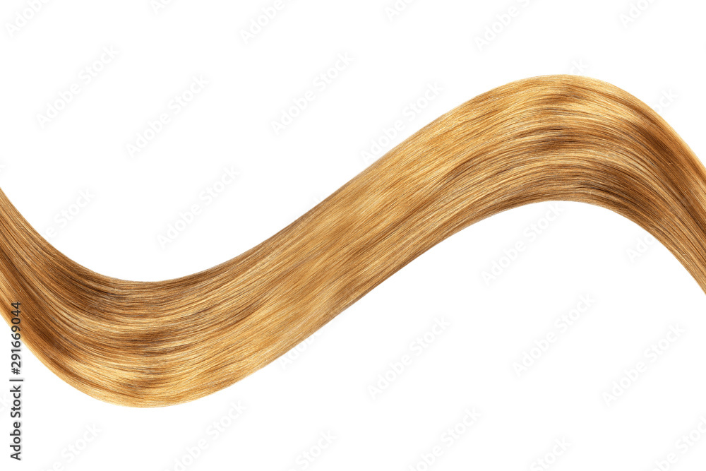 Natural brown hair isolated on white Natural brown hair isolated on white