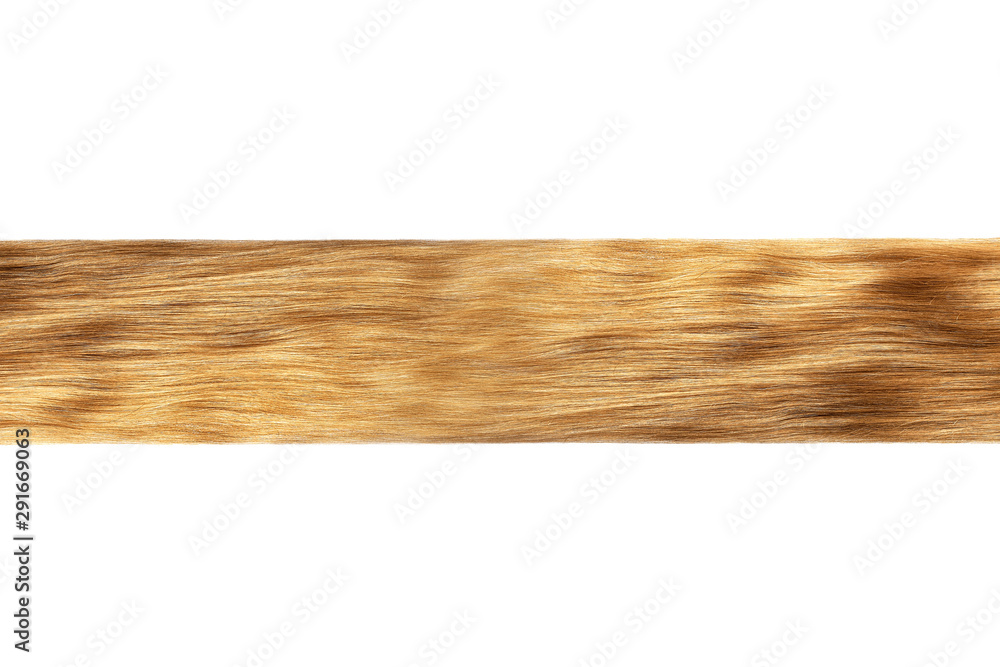 Natural brown hair isolated on white Natural brown hair isolated on white