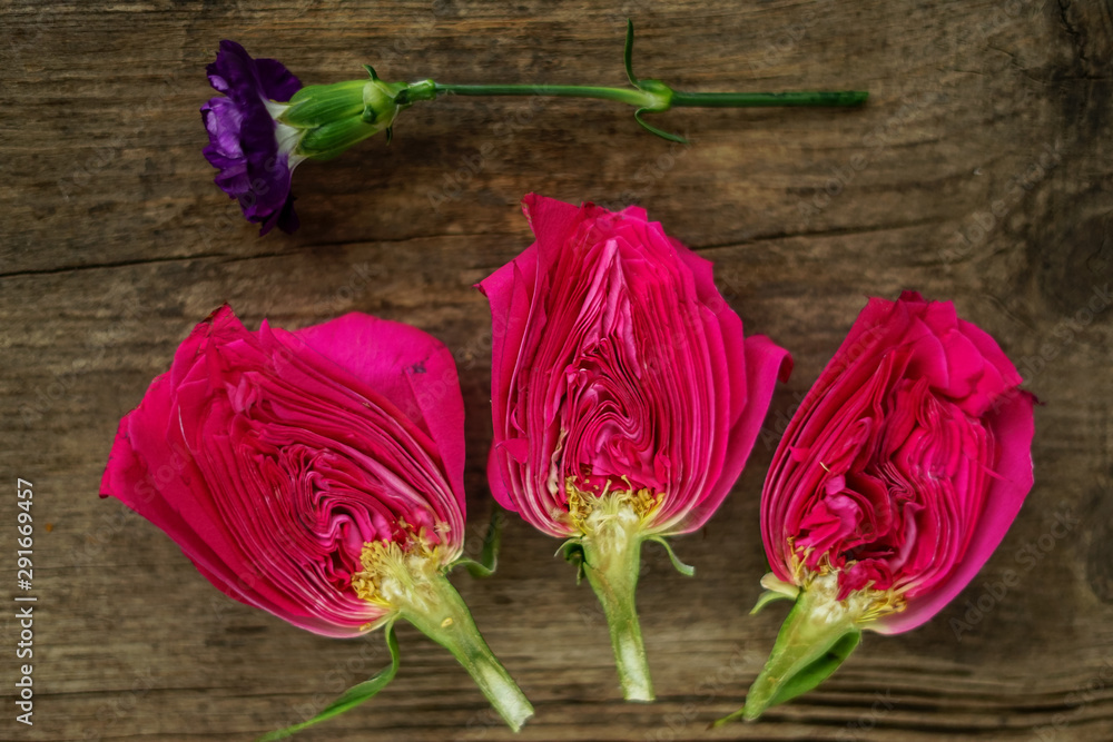 cut pink and red flowers on wooden background of natural color