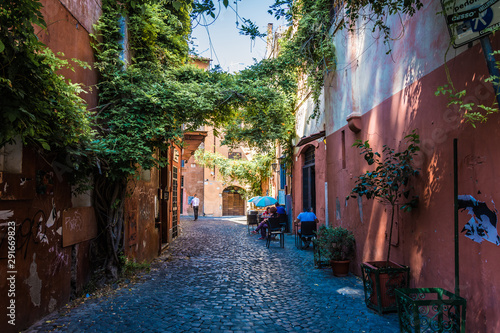 Alley in Trastevere in Rome with plants across the street