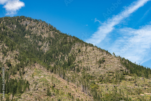 Trees fallen from the wind in November 2018, Predazzo, Val di Fiemme. Natural disaster in Trentino Alto Adige, Italy, Europe