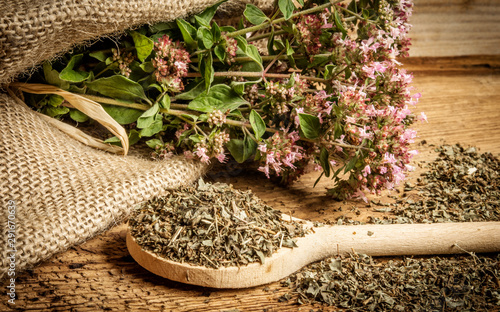 Origanum vulgare (oregano) herb - spice on a table