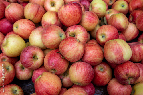 seasonal fruit and vegetables, aromatic herbs photo