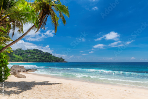 Fototapeta Naklejka Na Ścianę i Meble -  Tropical Sunny beach and coconut palms on Seychelles. Summer vacation and tropical beach concept.