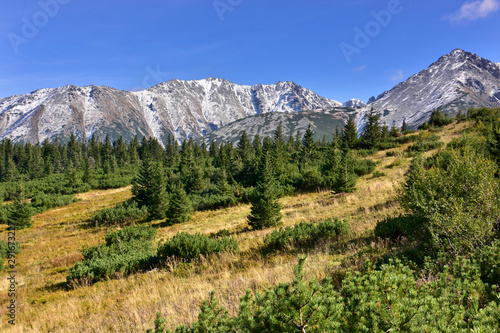 Królowa Rówień - widok na zaśnieżoną Koszystą i Żółtą Turnię - Tatry