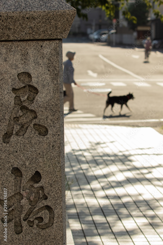 京都 一條戻橋と犬の散歩をする人のいる町の風景 Stock Foto Adobe Stock 京都 一條戻橋と犬の散歩をする人のいる町の風景 Stock Foto Adobe Stock
