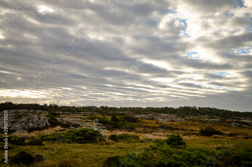 wild landscape in southern sweden during autumn