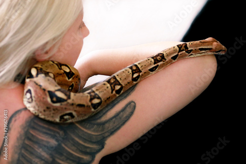Snake on female shoulder and hand, part woman naked body. Non poisonous Boa constrictor species of snake slithering and crawling per woman hand, shoulder. Exotic tropical cold blooded reptile animal.