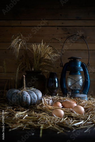 Eggs in the straw nest and old lanterns in old barn which has dim light,