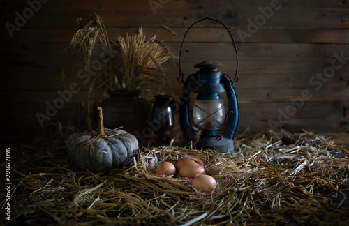 Fotografie Eggs in the straw nest and old lanterns in old barn which has dim ligh