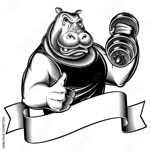 Strong hippo holds dumbbell, shows thumbs up. Sport mascot of fitness gym. Banner ribbon with copy space. Vector illustration of character design in inked engraving retro print black and white style.