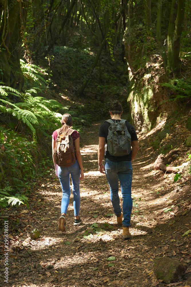 Couple walking along a tree lined path Couple walking along a tree lined path